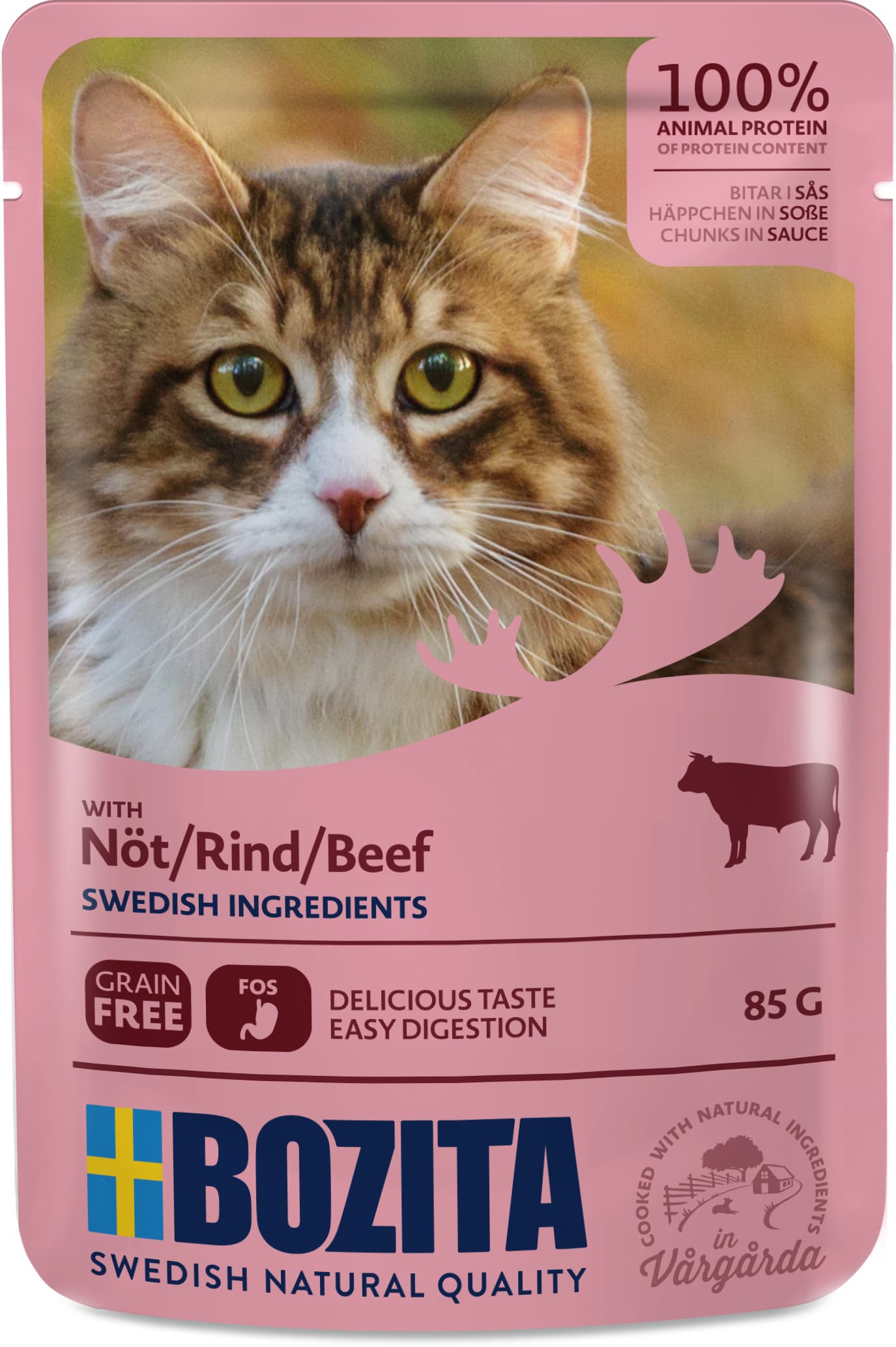 Palat kastikkeessa nauta