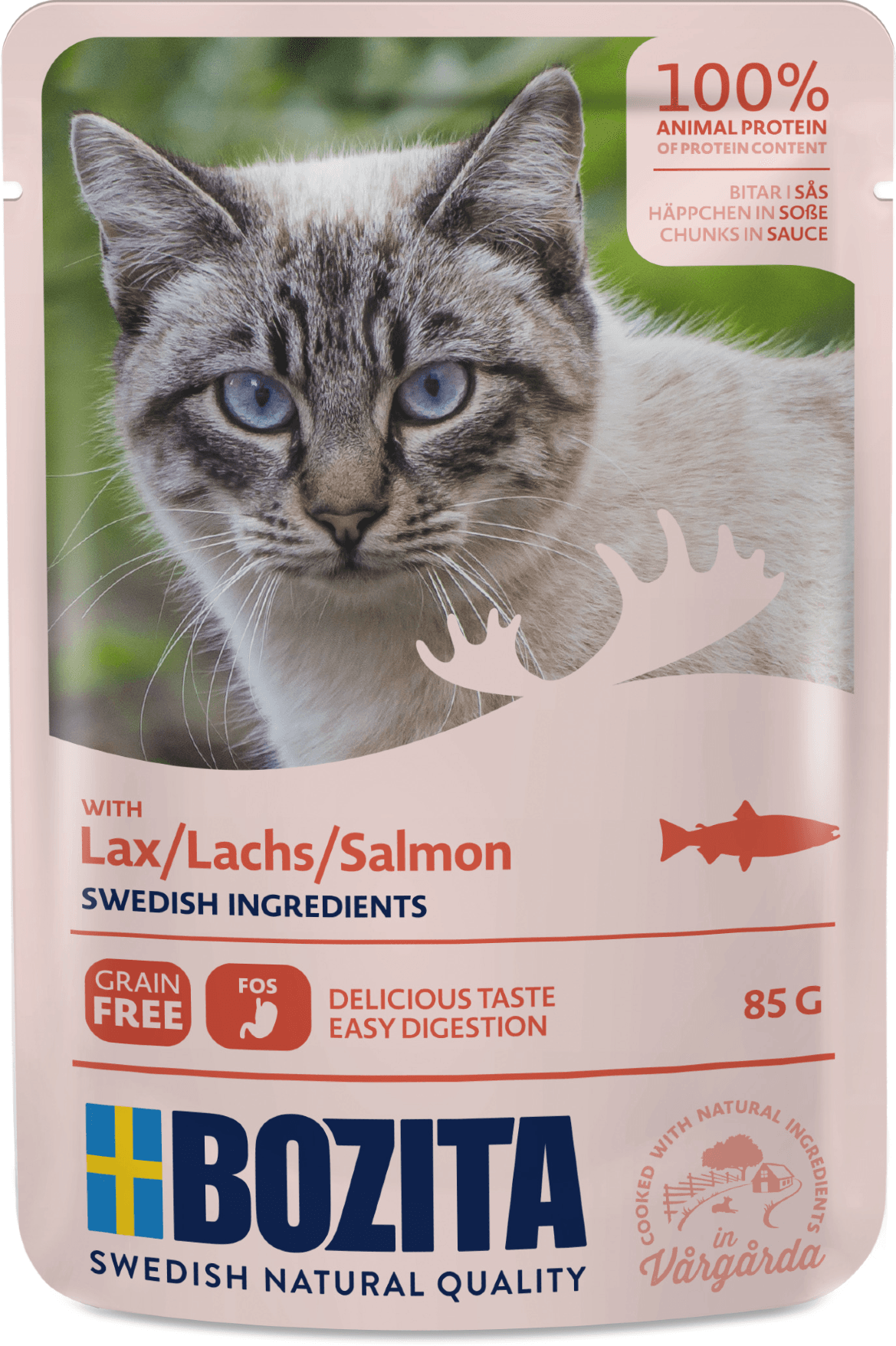 Palat kastikkeessa lohi