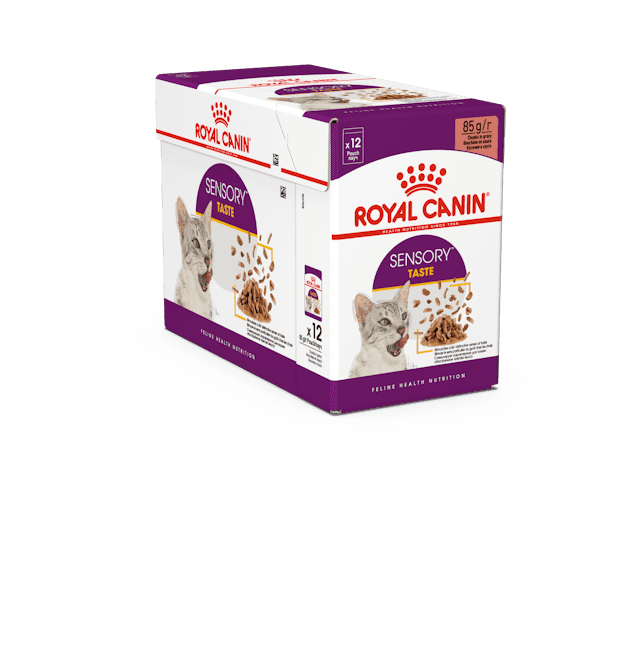 Sensory Taste Gravy märkäruoka kissalle 12x85g