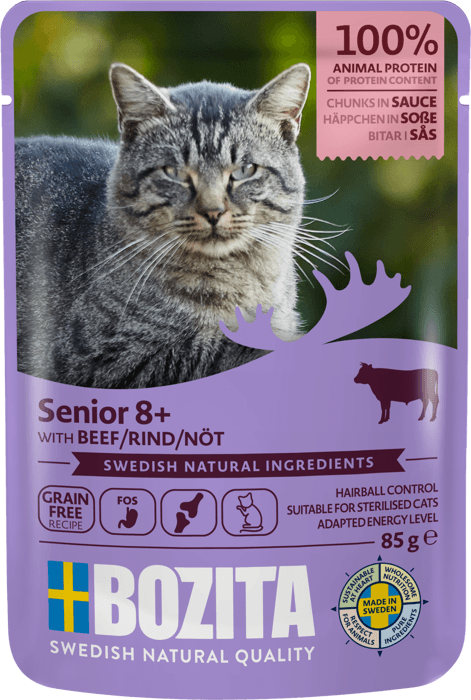 Senior 8+ BIFF i Sauce