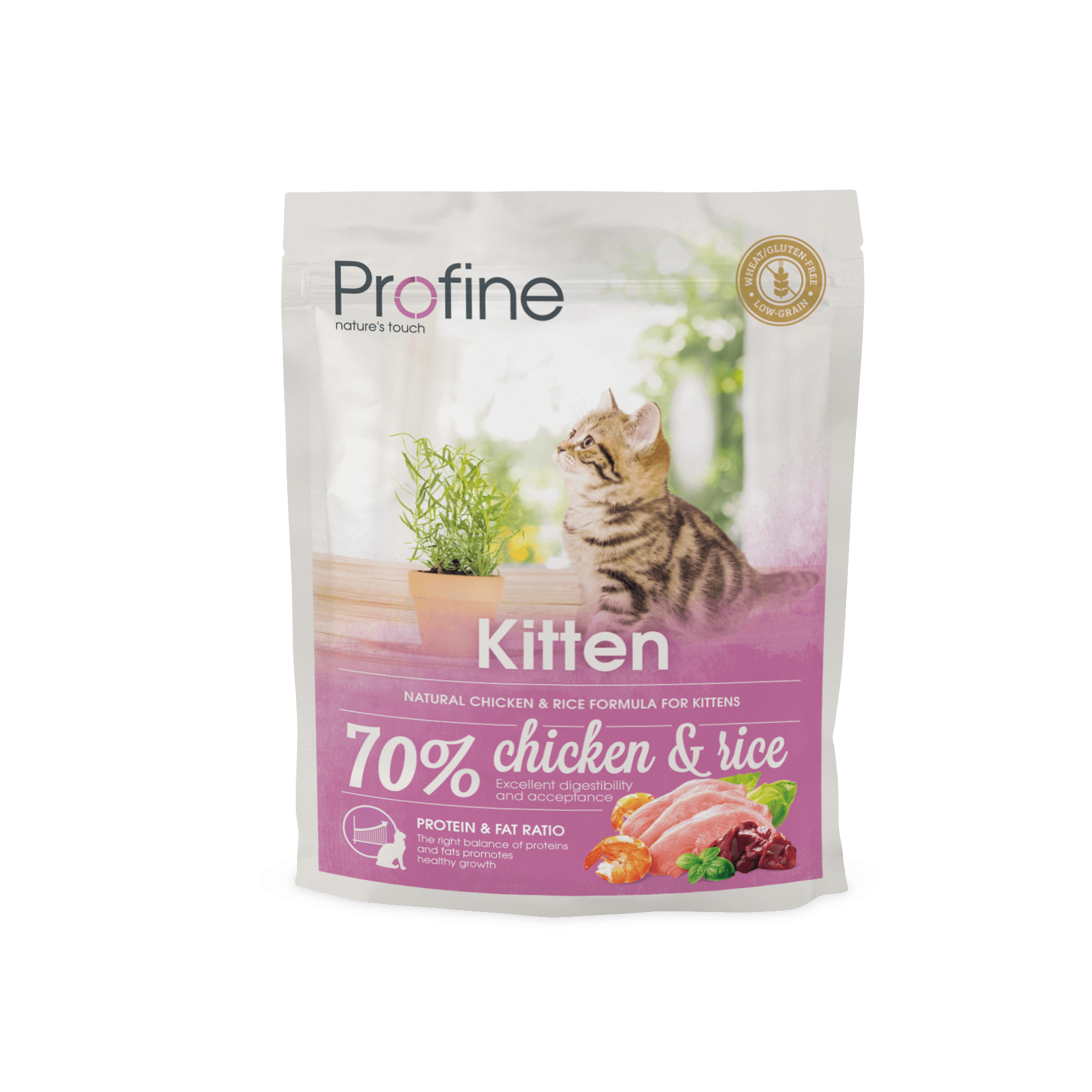 Kitten kuivaruoka kissanpennulle